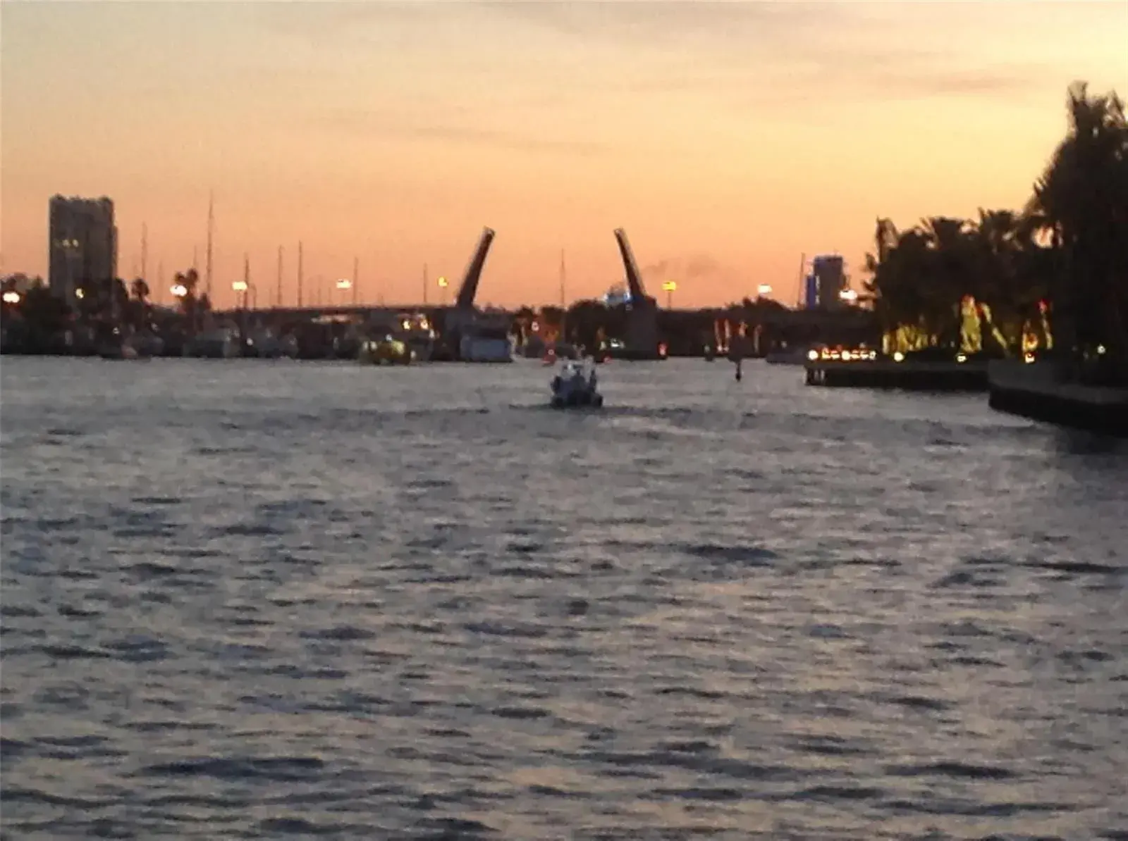 200 S Birch # 1102, Fort Lauderdale FL 33316