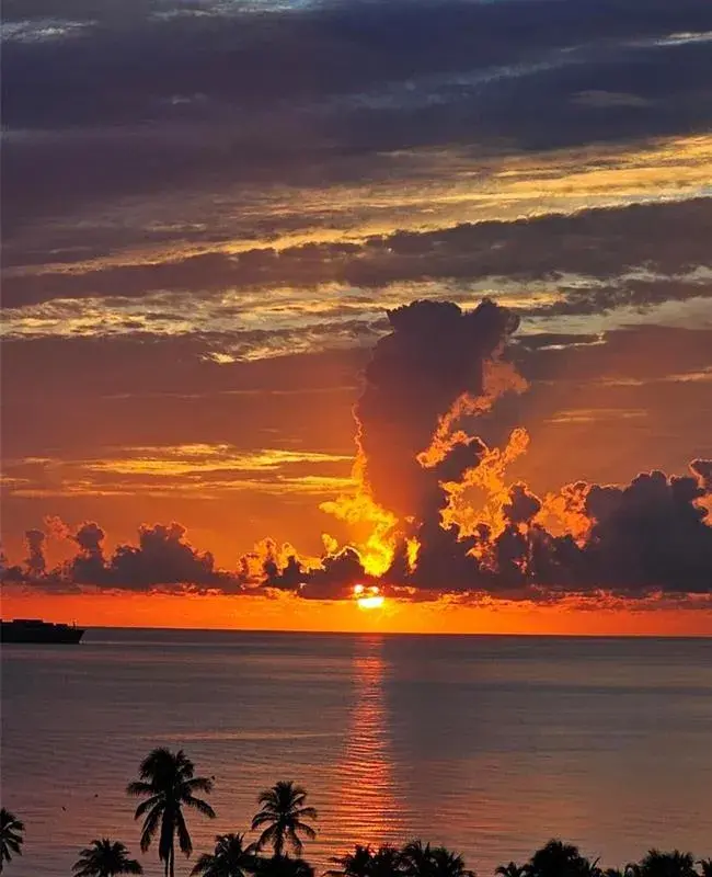 200 Birch # 714, Fort Lauderdale FL 33316