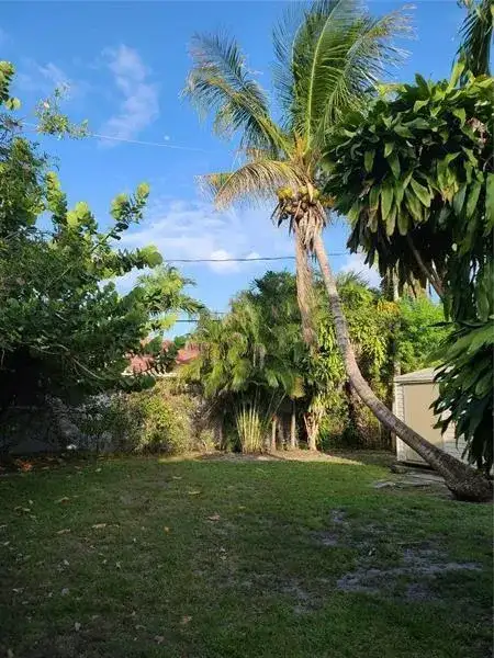 1123 N 17th Avenue, Hollywood FL 33020 photo 4