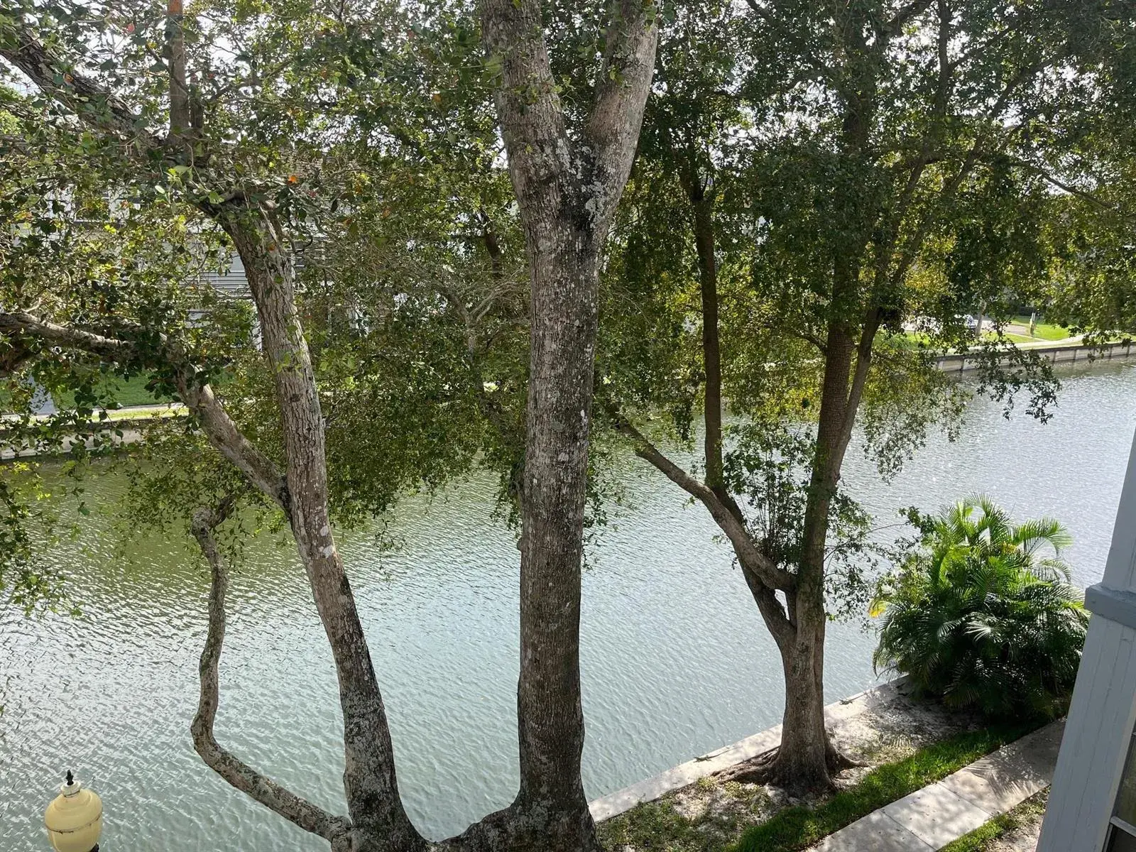 8360 Sands Point Boulevard # 305, Fort Lauderdale FL 33321