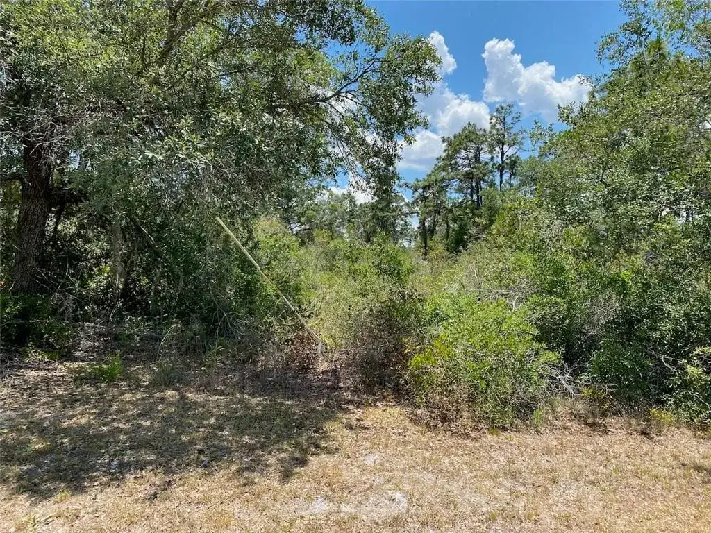 Lot 24 Indian Lake Drive, FL 33855 photo 5