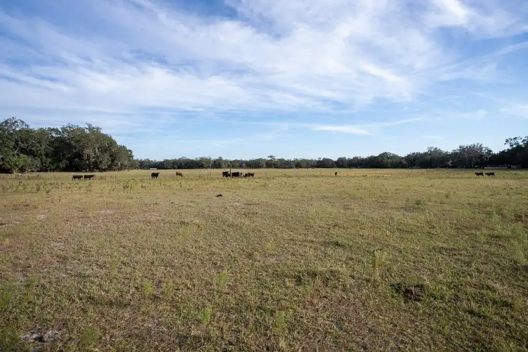0 Lake Hatcheneha, FL 33844 photo 2