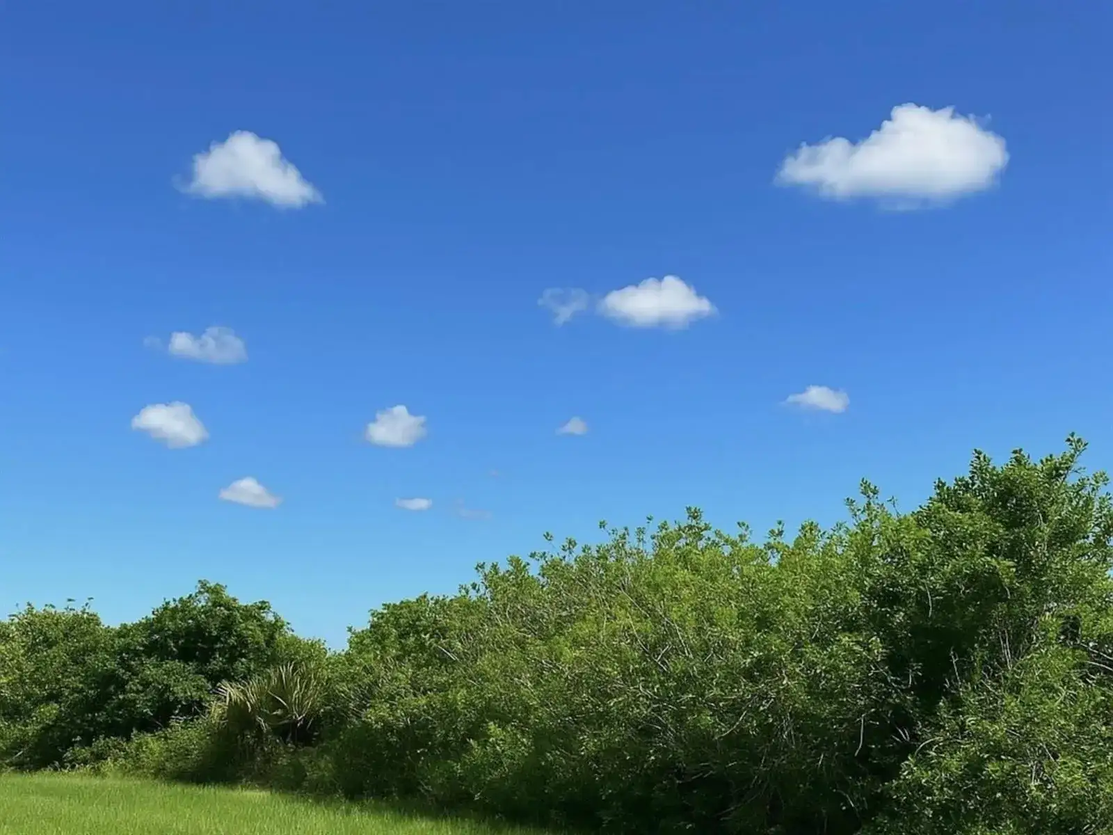 6617 SE 26th Trail, Okeechobee FL 34974 photo 2
