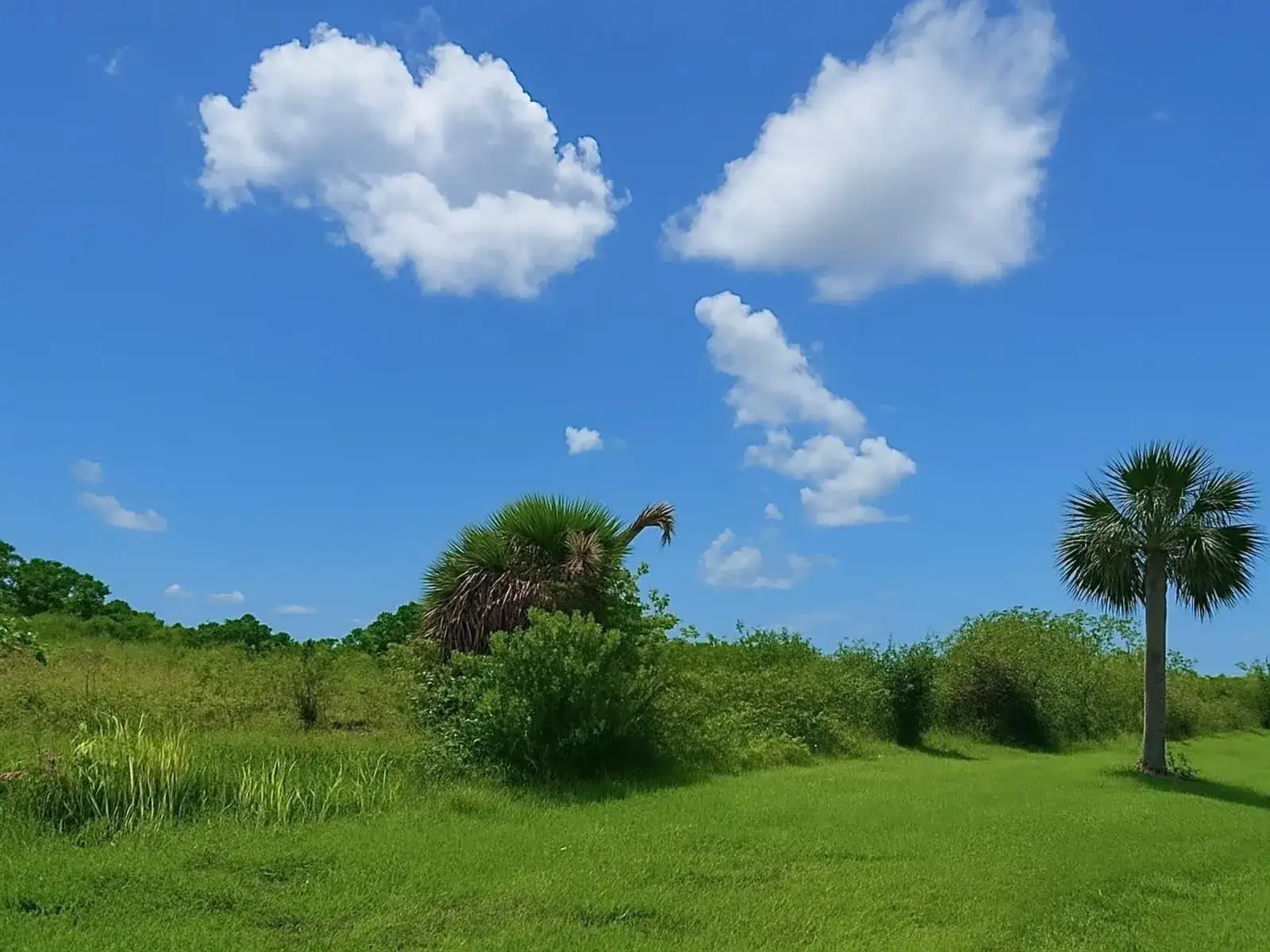 6617 SE 26th Trail, Okeechobee FL 34974 photo 4