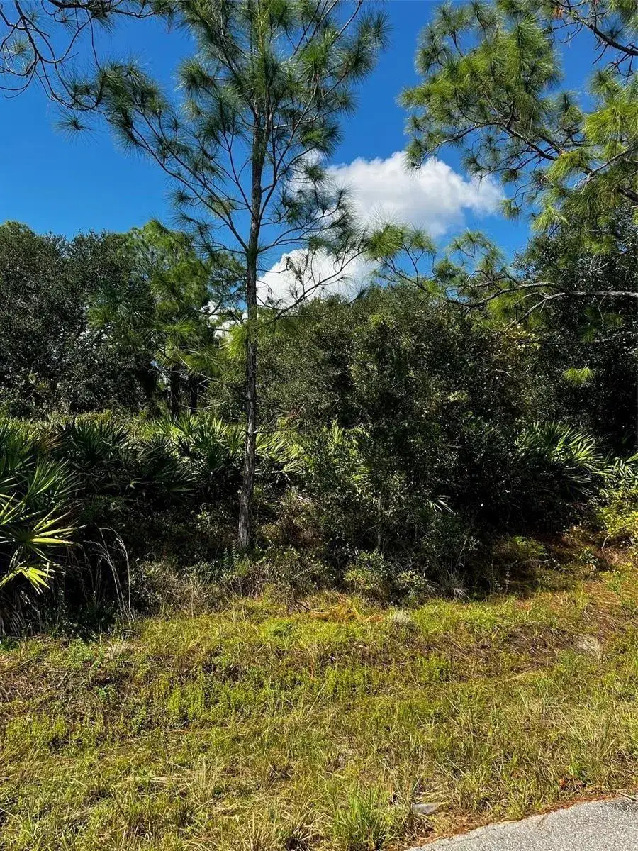 1221 Hamilton Avenue, Lehigh Acres FL 33972 photo 3
