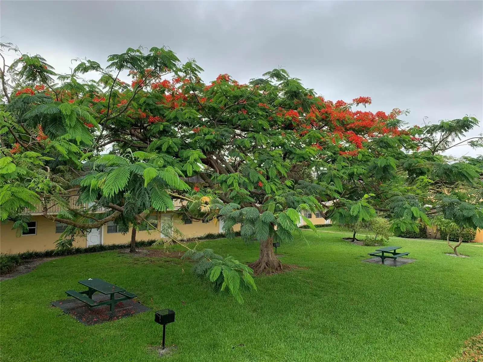 5168 NE 6th Avenue # 426, Fort Lauderdale FL 33334 photo 2