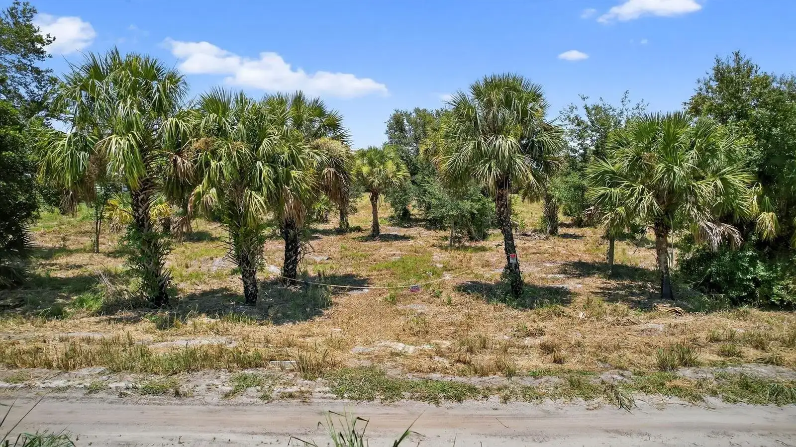 Xx Xx Bedu Court, Loxahatchee FL 33470 photo 5