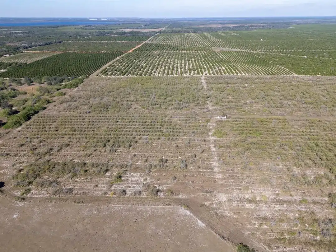 3073 CR 627, FL 33825 photo 4