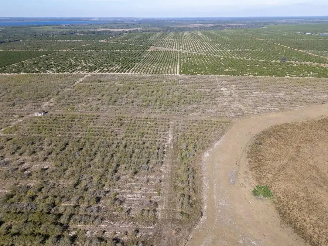 3073 CR 627, FL 33825 photo 5