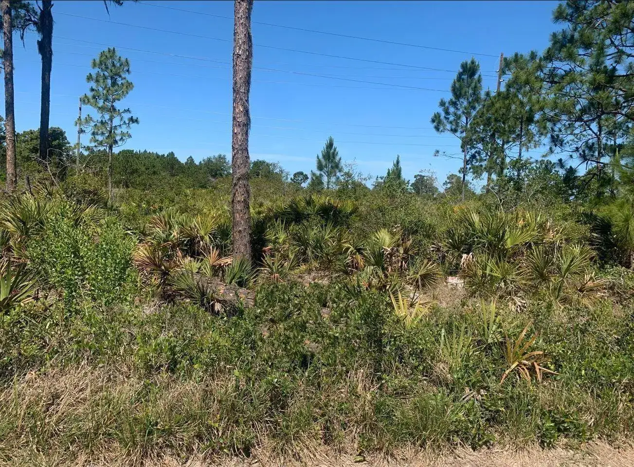 329 Phesant Boulevard, Sebring FL 33872