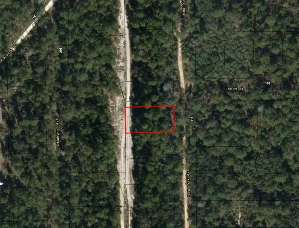 111 New York Avenue, FL 32148 photo 2