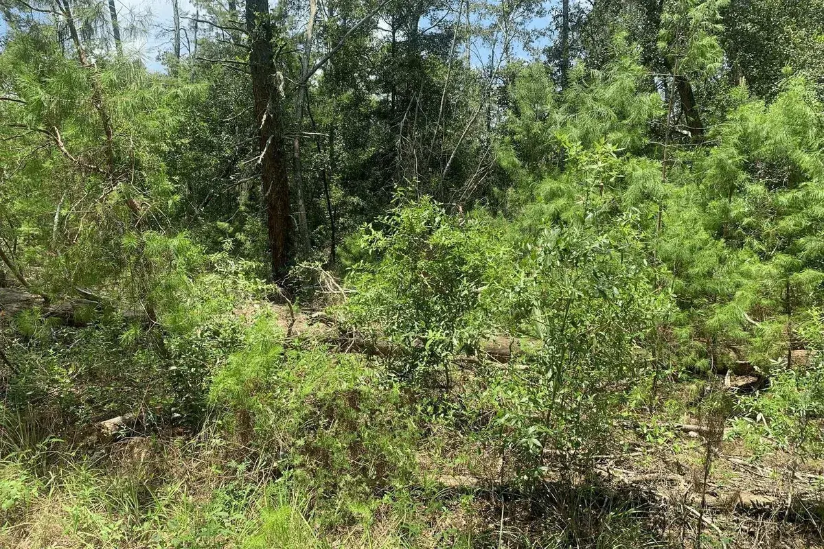 111 New York Avenue, FL 32148