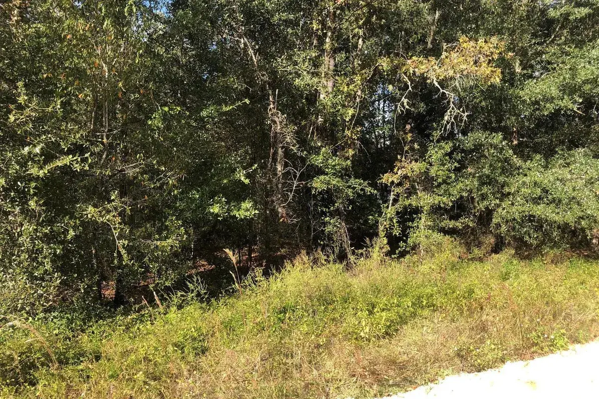 0 Evans Avenue, FL 32148