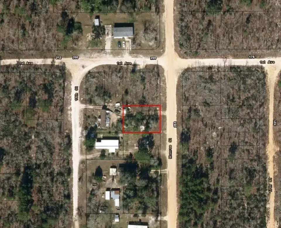 0 Monroe Street, FL 32148 photo 2