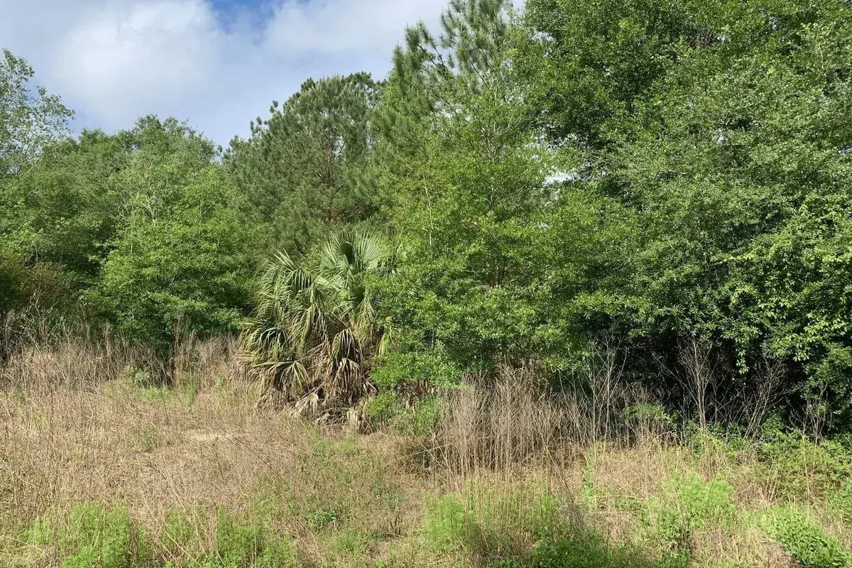 0 Douglas Drive, FL 32148