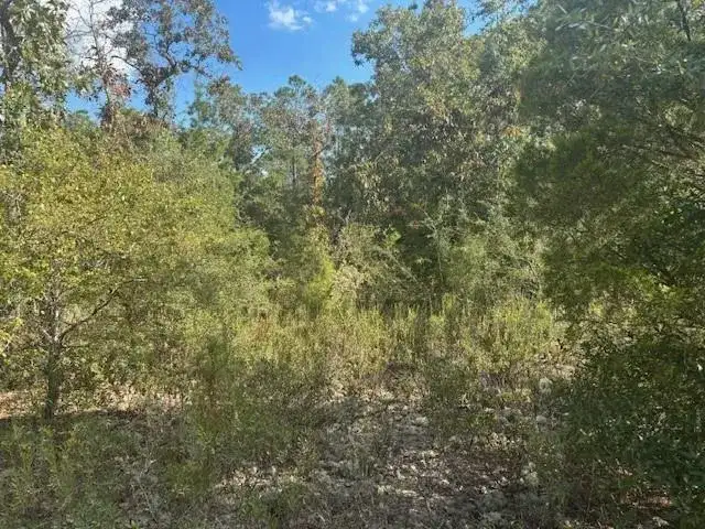 0 Nezperce Drive, FL 32420 photo 2