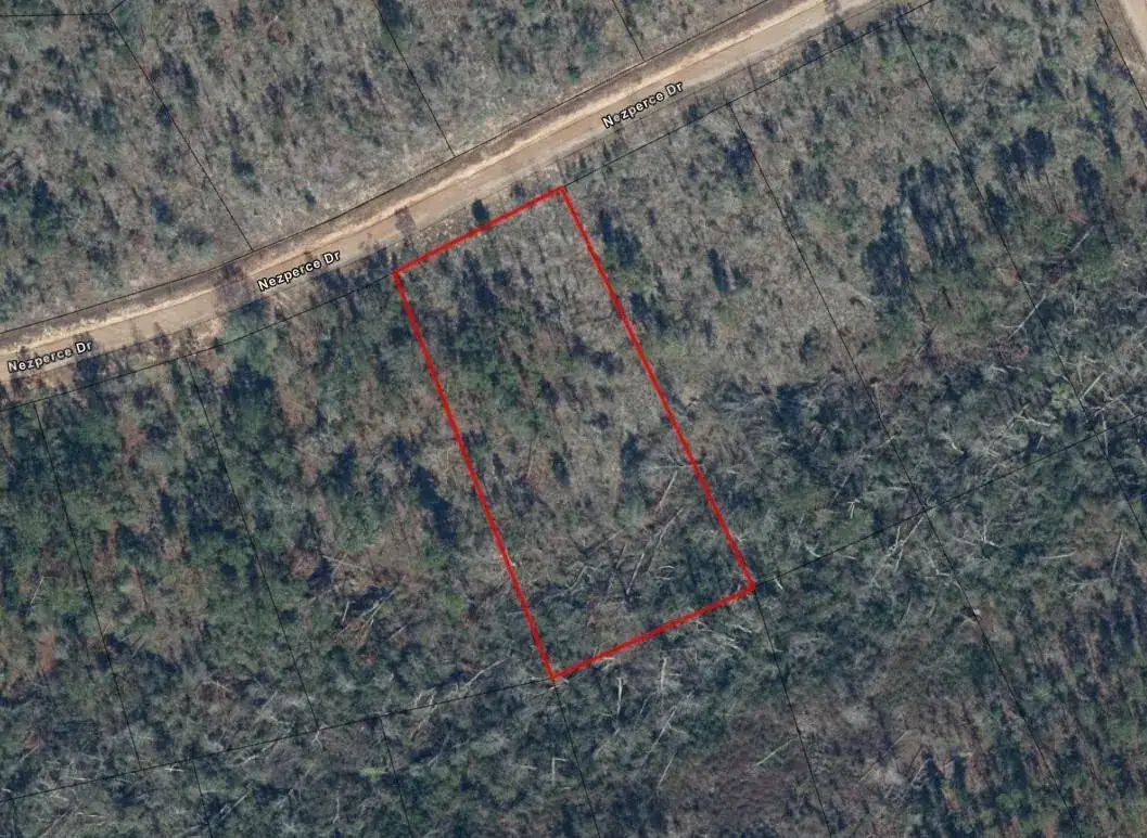 0 Nezperce Drive, FL 32420 photo 3
