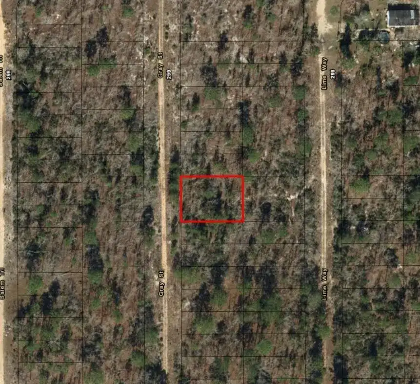 0 Gray Street, FL 32148 photo 2
