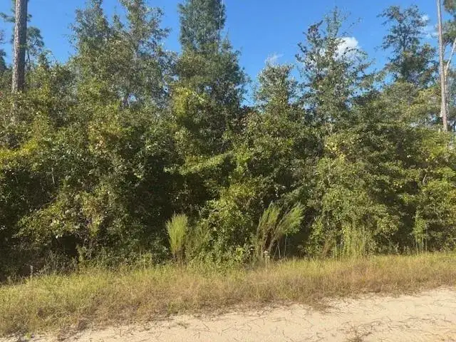 0 Mulberry Drive, FL 32448 photo 2