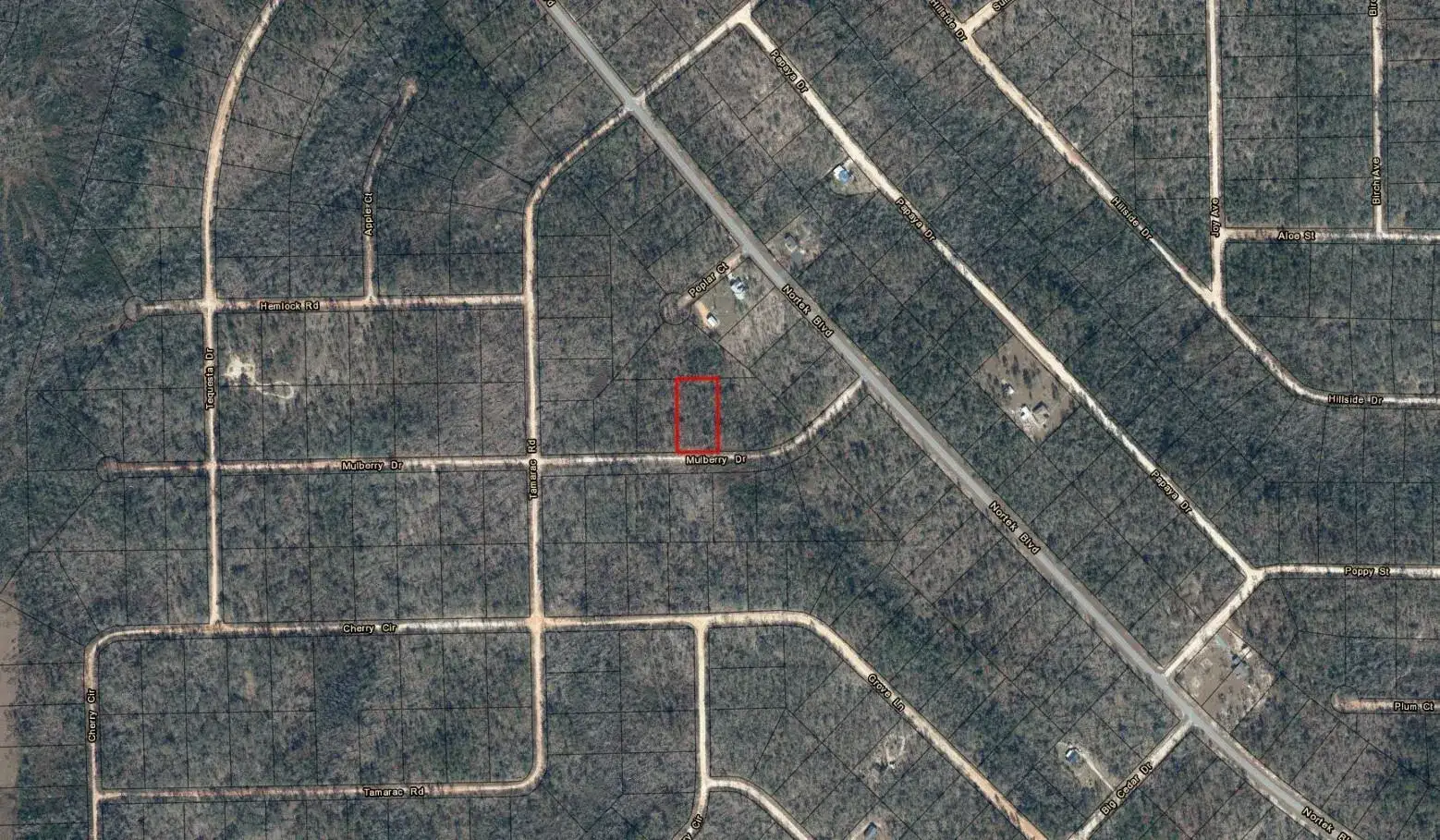 0 Mulberry Drive, FL 32448 photo 3