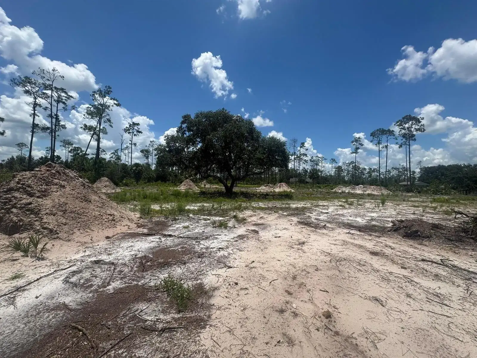 32801 Highway 441, Okeechobee FL 34972 photo 4