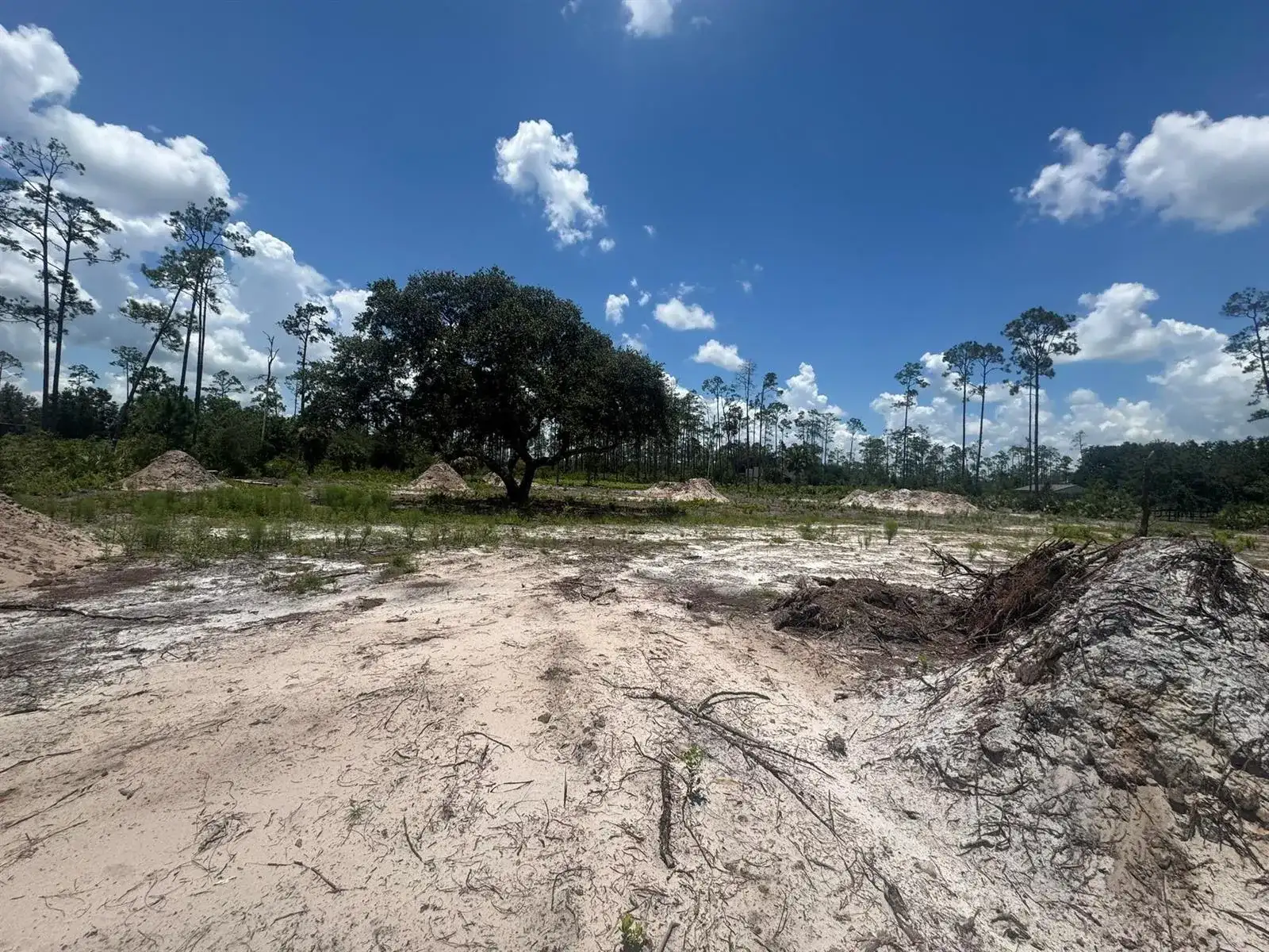 32801 Highway 441, Okeechobee FL 34972 photo 5
