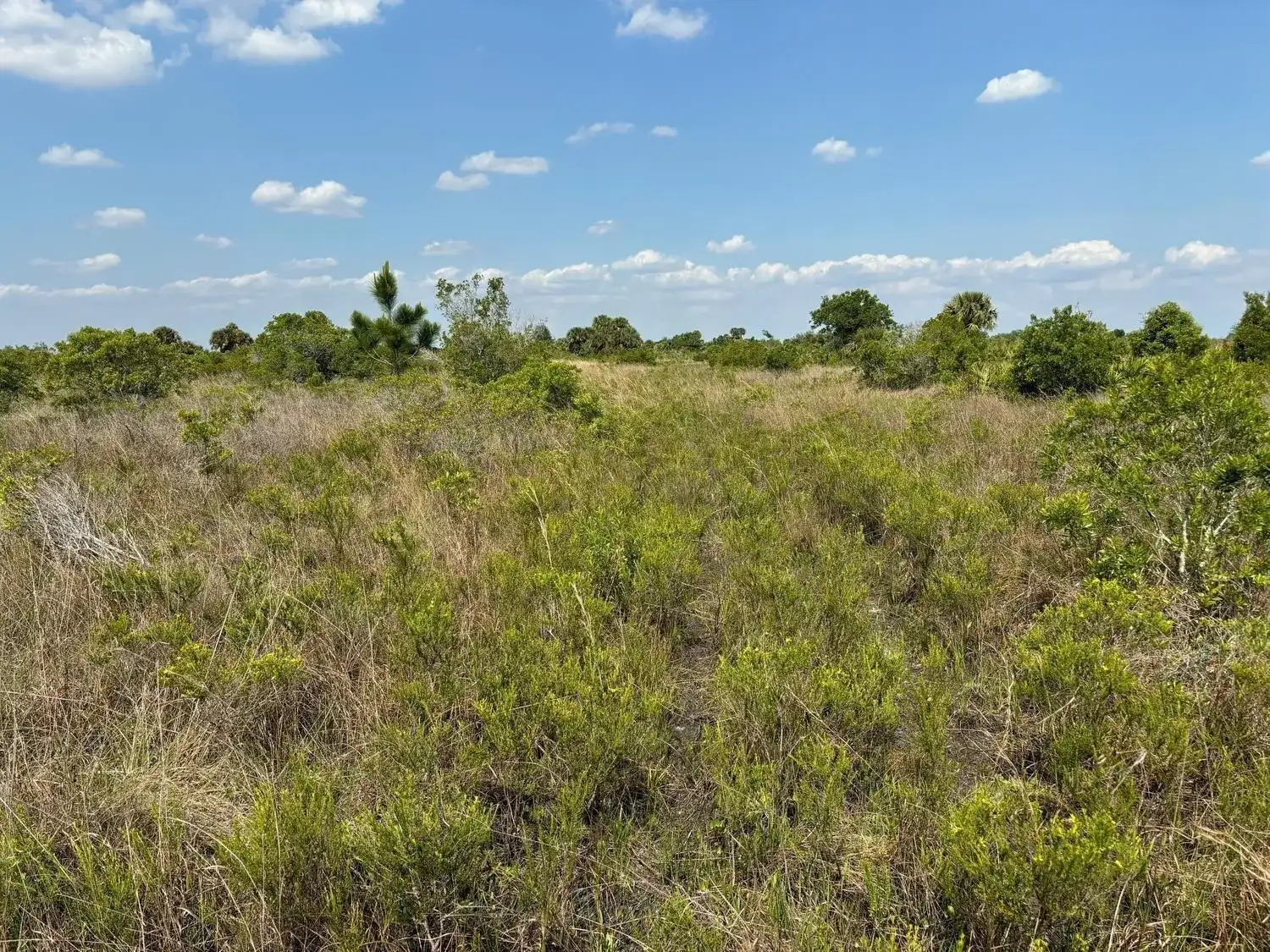 0 NW 320th Street, Okeechobee FL 34972