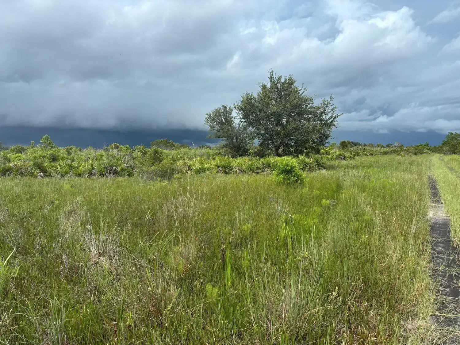 0 NW 312th Street, Okeechobee FL 34972 photo 2