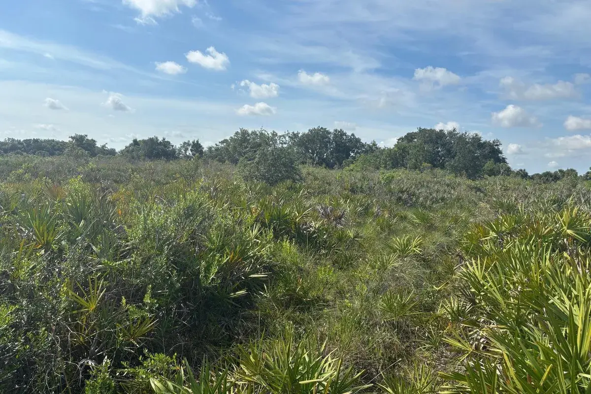 0 NW 310th Street, Okeechobee FL 34972
