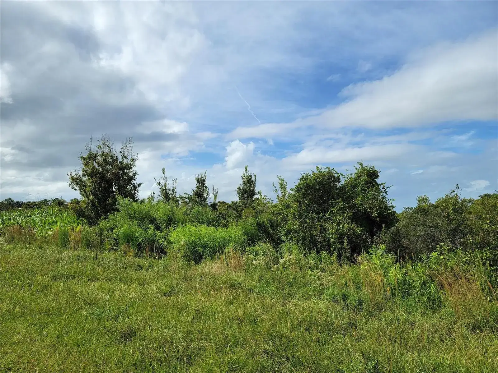 17275 NW 260th Street, Okeechobee FL 34972 photo 2
