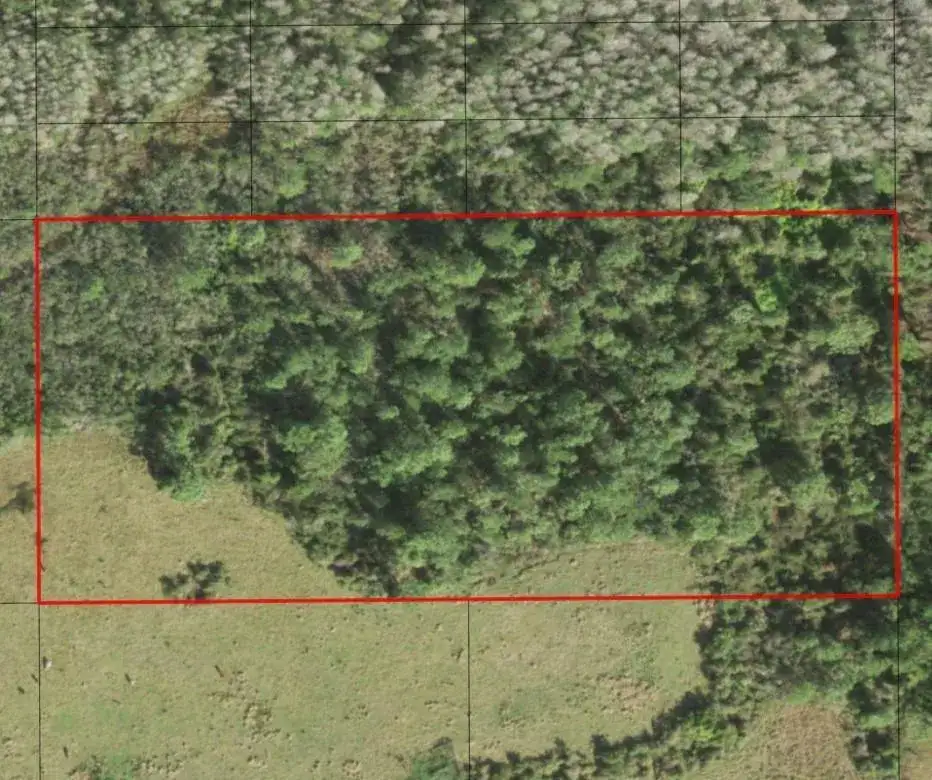 0 Holopaw Groves Road, FL 34772 photo 2