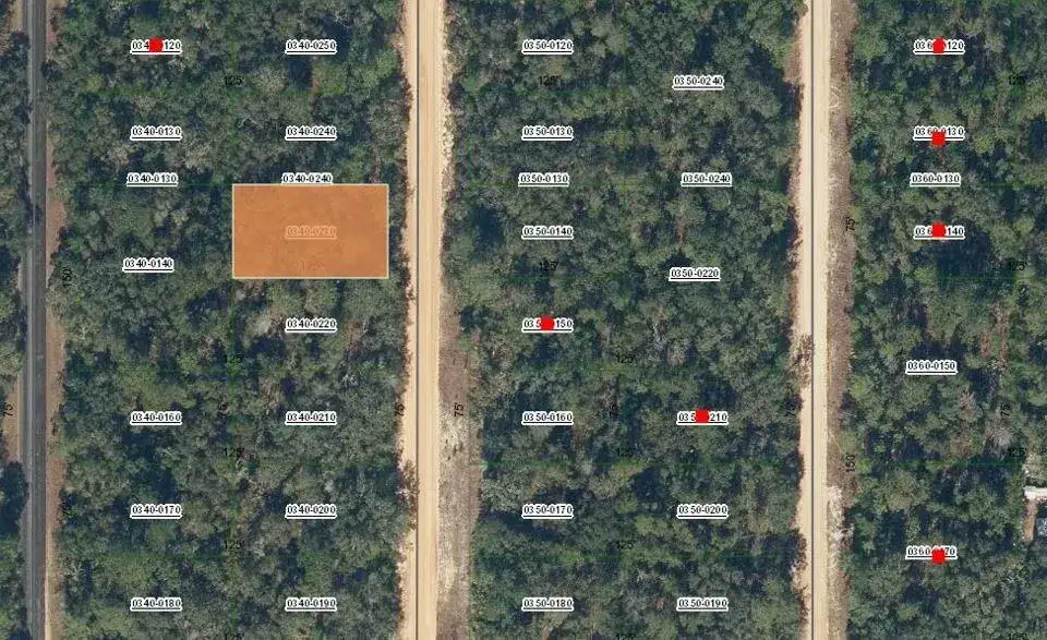 0 David Avenue, FL 32148 photo 2