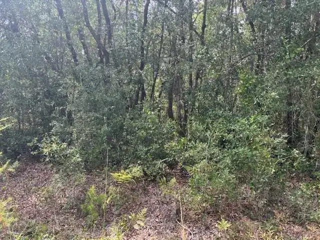 0 Gray Street, FL 32148 photo 3