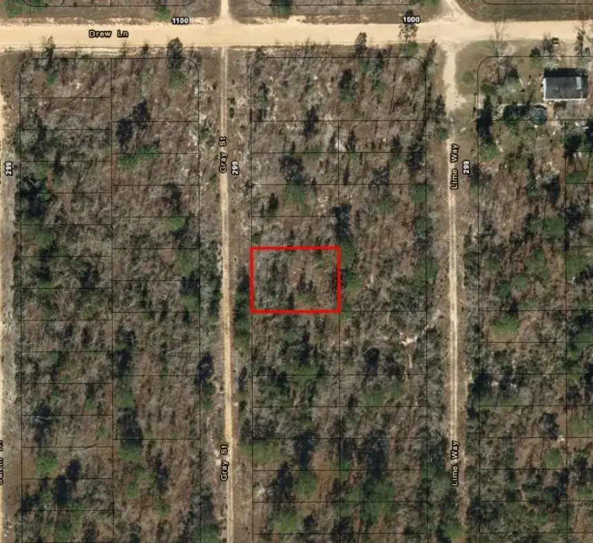 0 Gray Street, FL 32148 photo 4