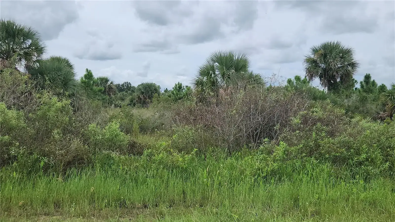 14988 NW 316th Street, Okeechobee FL 34972 photo 2