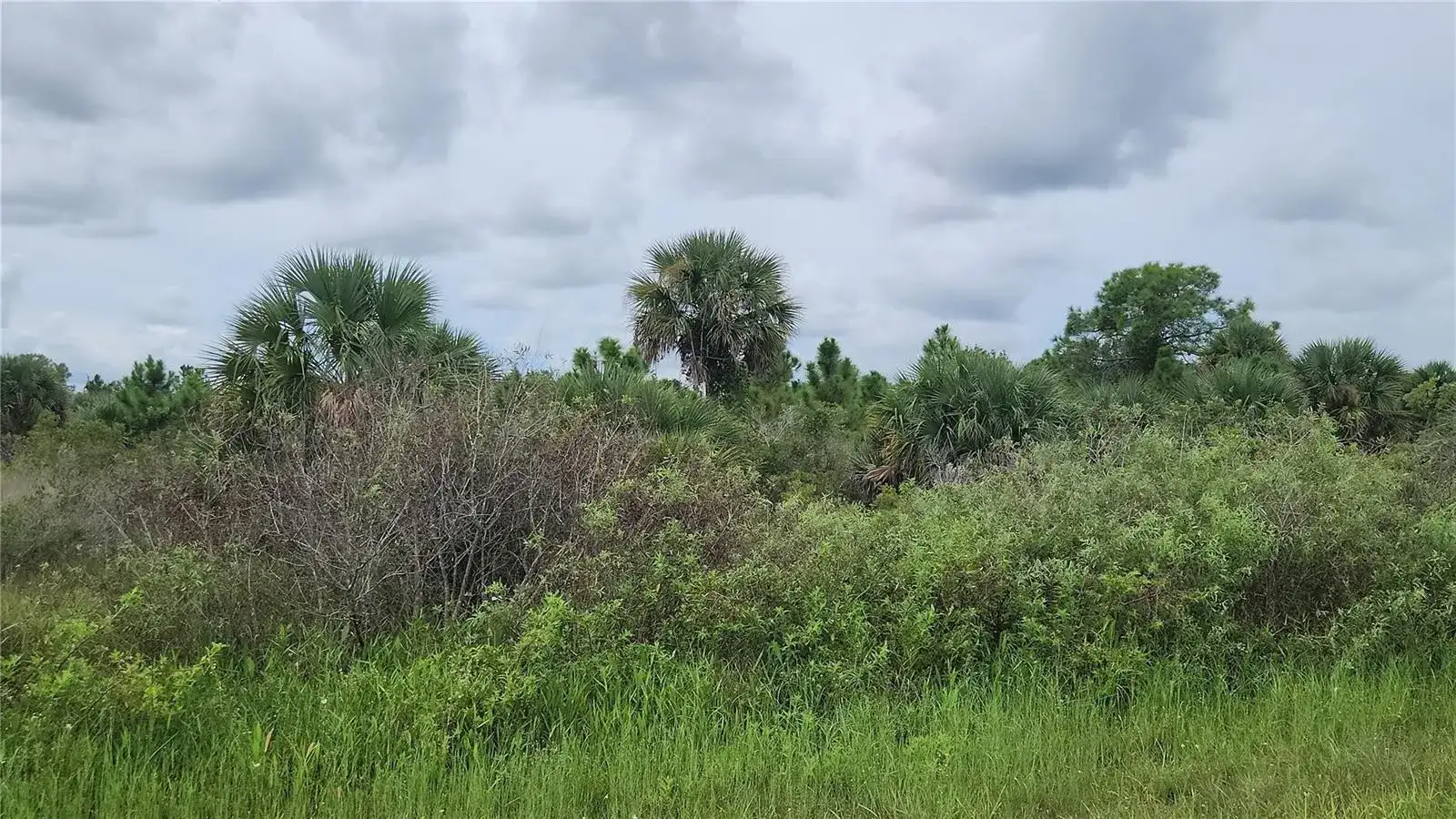 14988 NW 316th Street, Okeechobee FL 34972 photo 3