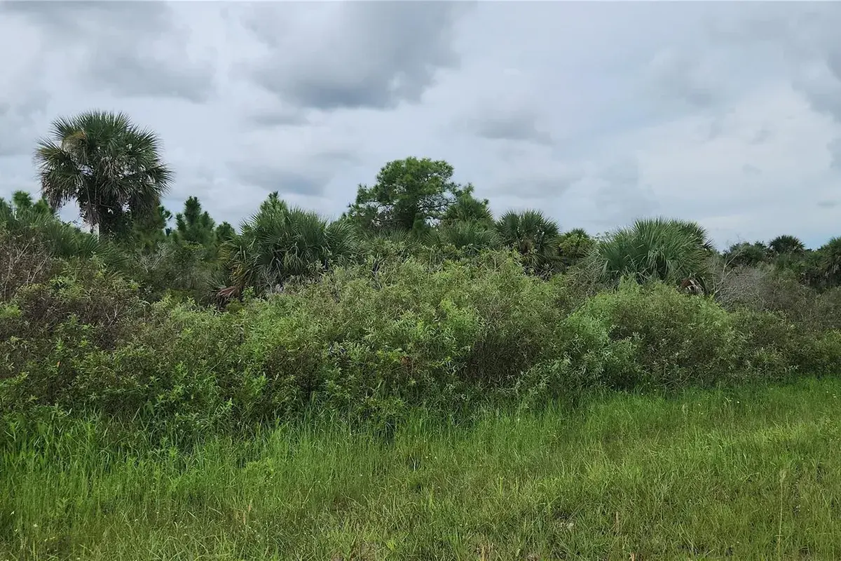 14988 NW 316th Street, Okeechobee FL 34972