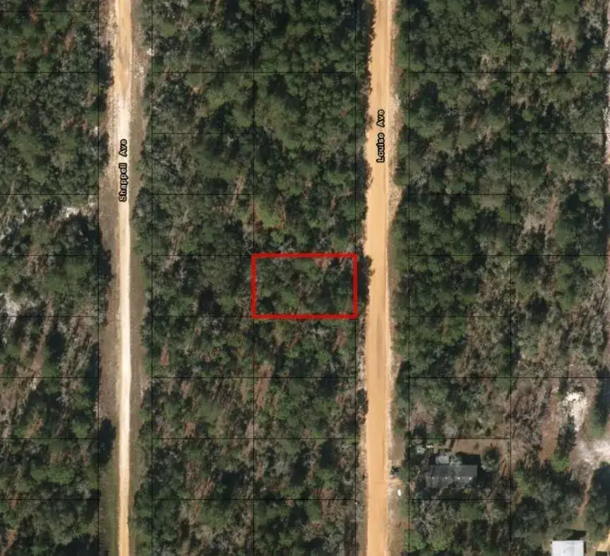 0 Louise Avenue, FL 32148 photo 2