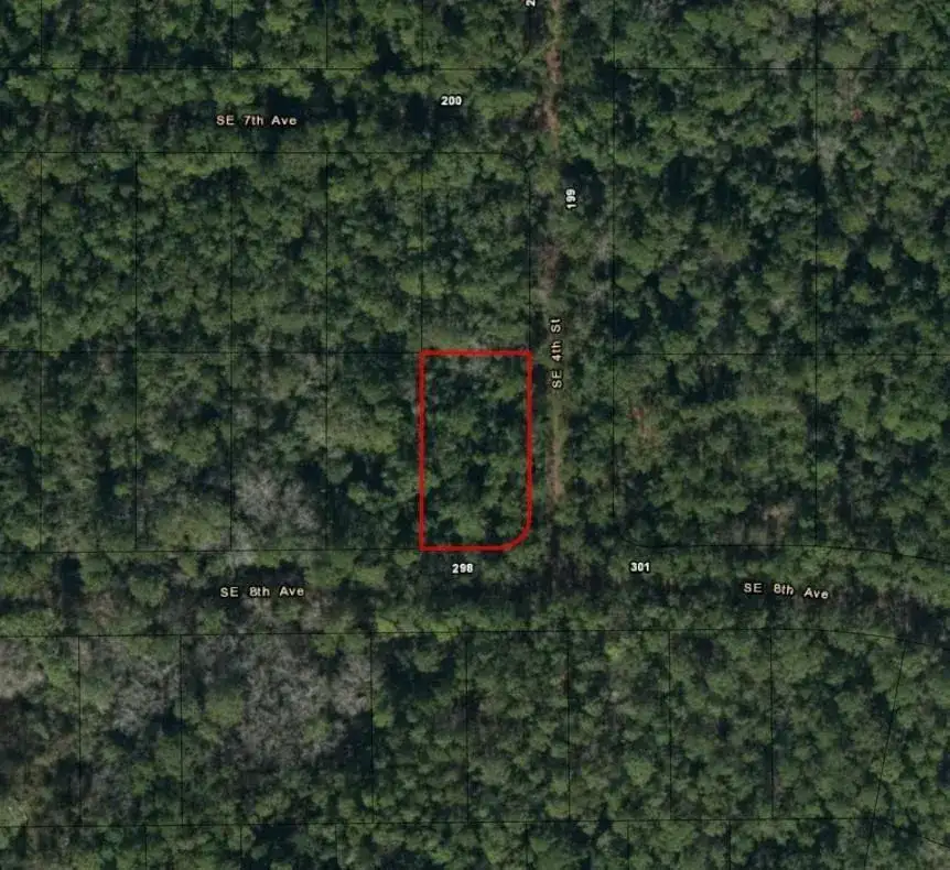 0 SE 8th Avenue, Palatka FL 32177 photo 2