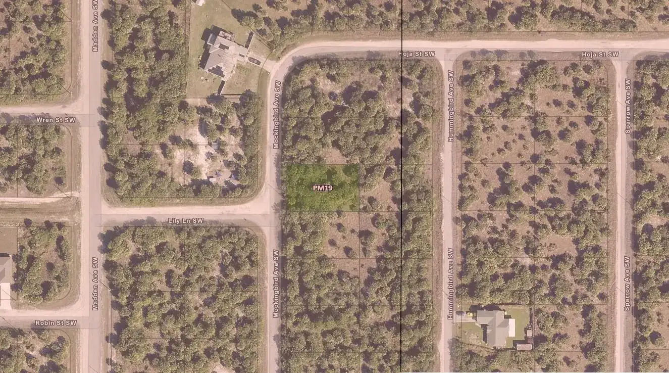 3223 SW Mockingbird Avenue, Palm Bay FL 32908 photo 4