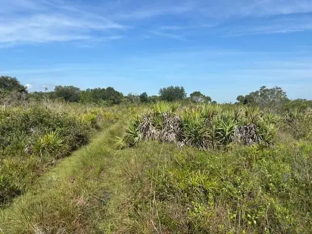 0 NW 306th Street, Okeechobee FL 34972 photo 2