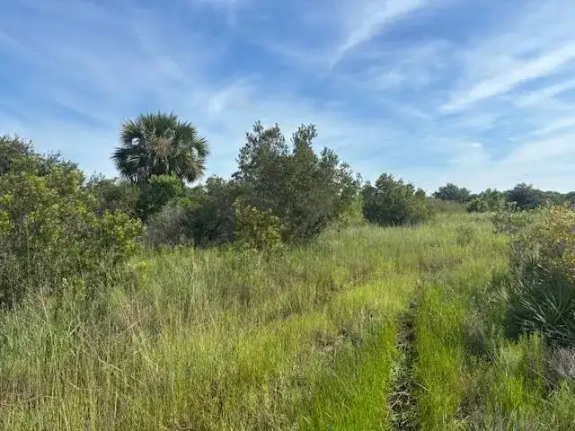 0 NW 310th Street, Okeechobee FL 34972 photo 2