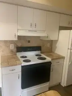 3251 Sabal Palm Manor # 207, Davie FL 33024 photo 4