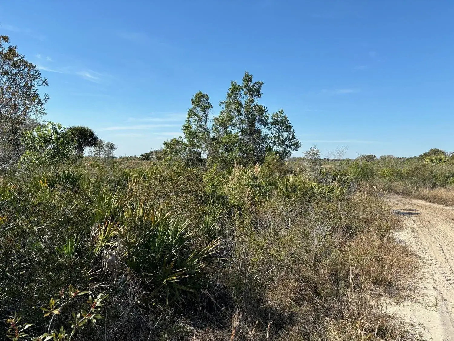 0 NW 308th Street, Okeechobee FL 34972 photo 2