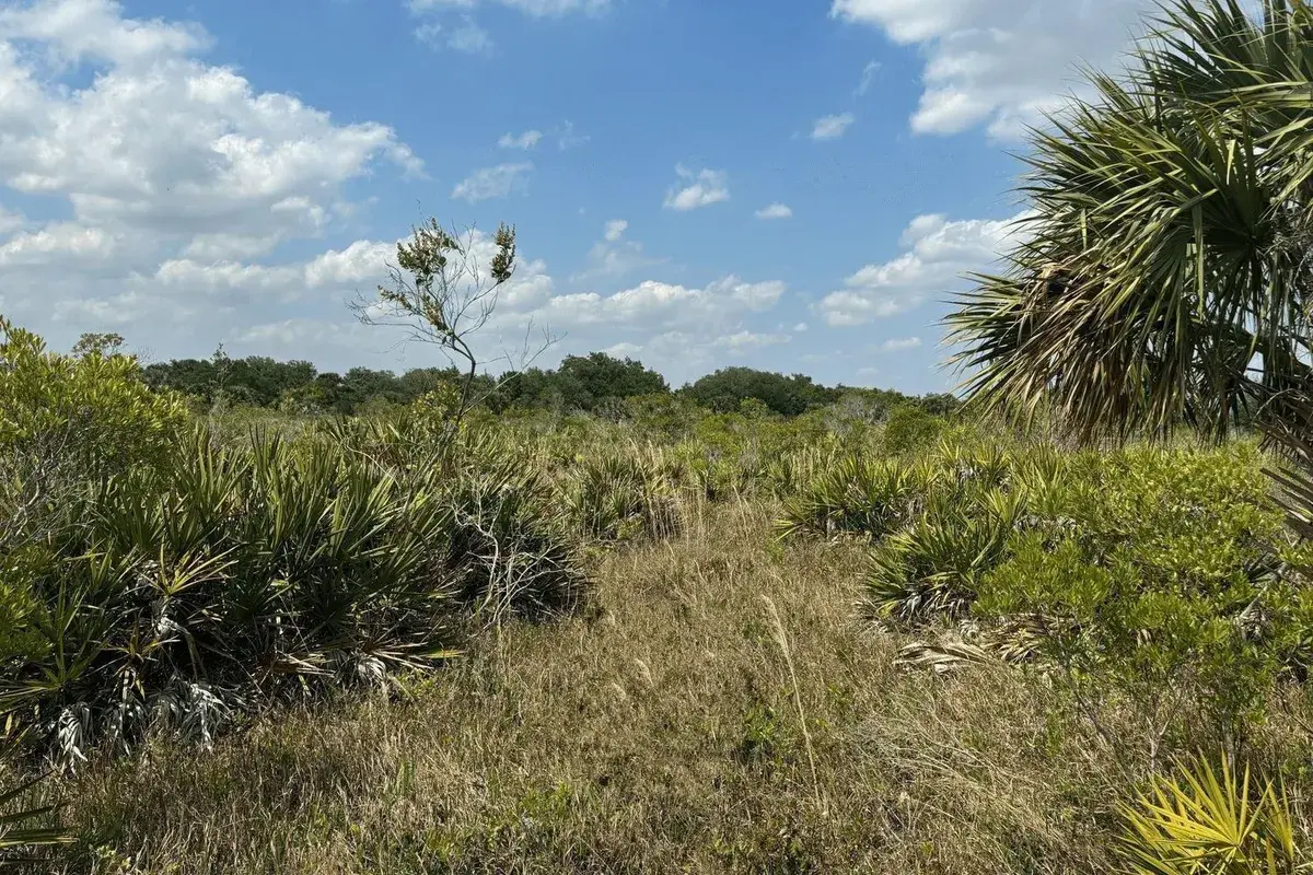 0 NW 306th Street, Okeechobee FL 34972