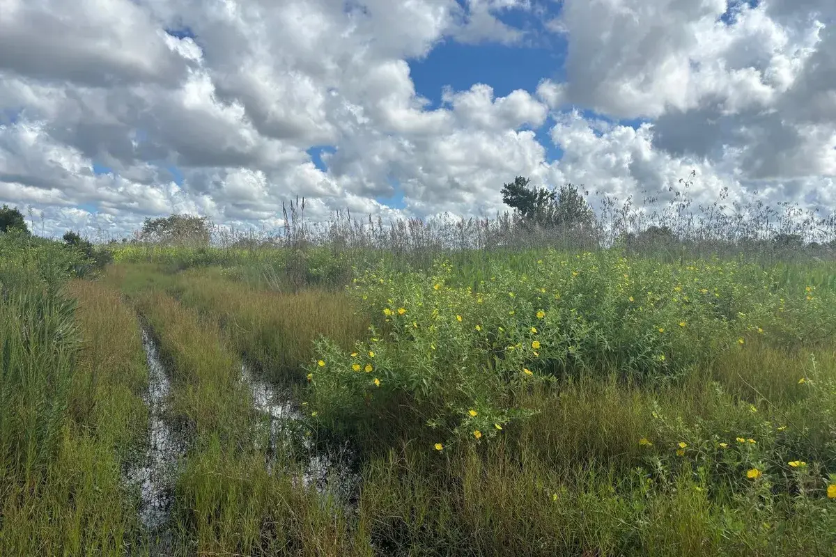 0 NW 316th Street, Okeechobee FL 34972