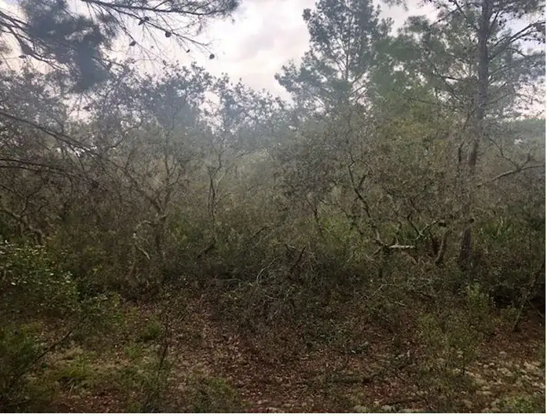 0 Alturas Babson Park Cutoff Road, Lake Wales FL 33859 photo 2