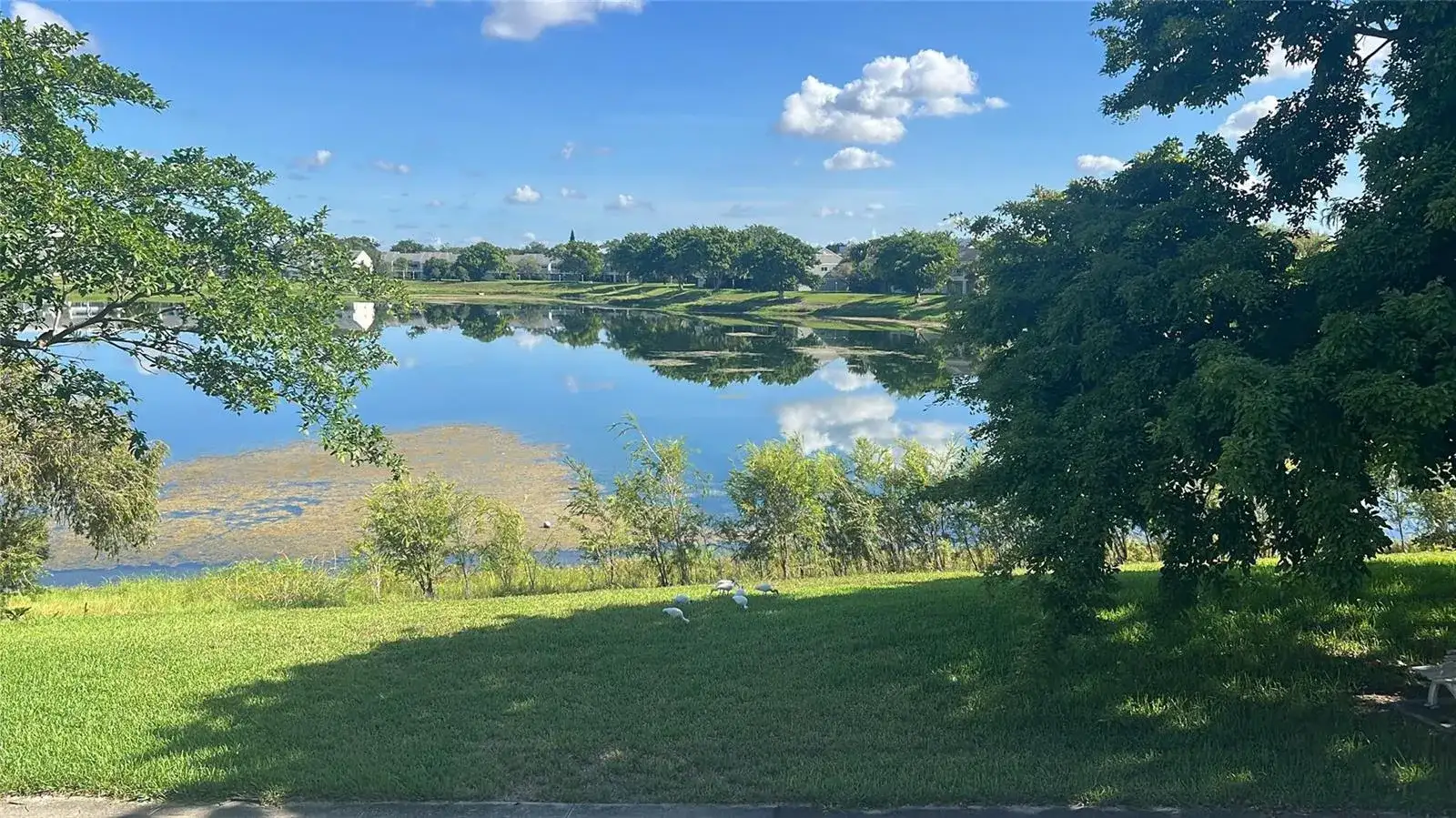 3421 NW 44th Street # 205, Lauderdale Lakes FL 33309 photo 5