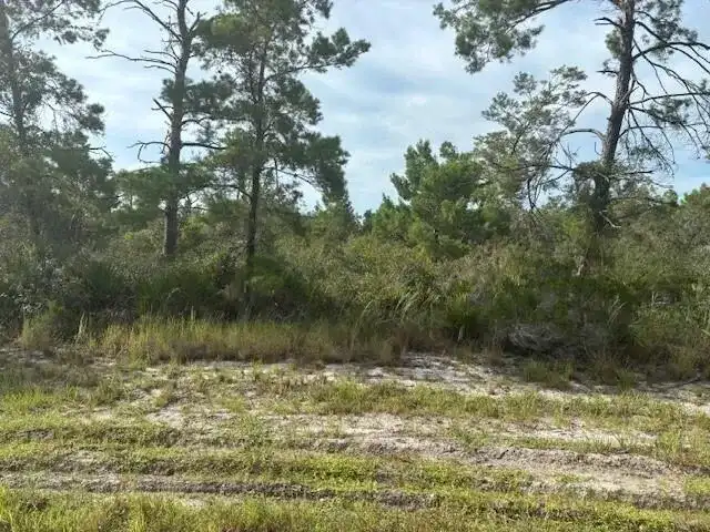 533 Boylston Street, Lake Placid FL 33852