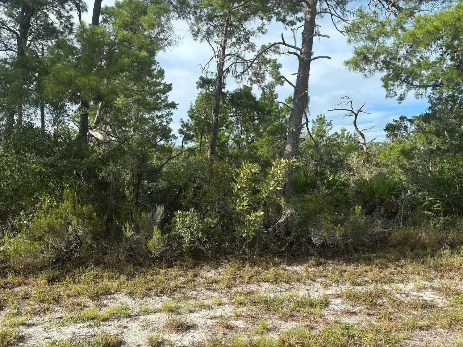 635 Boylston Street, Lake Placid FL 33852